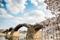 Cherry-blossoms and Kintai bridge, Iwakuni, Yamaguchi, Japan Royalty Free Stock Photo