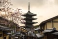 Cherry blossoms, Kyoto, Japan Royalty Free Stock Photo