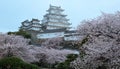 Cherry blossoms and the main tower of the UNESCO world heritage site