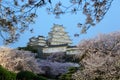 Cherry blossoms and the main tower of the UNESCO world heritage site