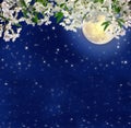 Cherry blossoms in the moonlight. Spring night. Mystic. Full moo