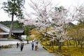 Cherry Blossoms in Nanzenji Temple, Kyoto Royalty Free Stock Photo