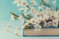 Cherry blossoms and old book on turquoise background, beautiful spring flower, vintage card Royalty Free Stock Photo