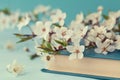 Cherry Blossoms And Old Book On Turquoise Background, Beautiful Spring Flower, Vintage Card