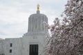 Cherry blossoms at Oregon State Capitol Building Royalty Free Stock Photo