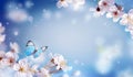 Cherry blossoms over blurred nature background. Spring flowers. Spring Background with bokeh. Butterfly Royalty Free Stock Photo