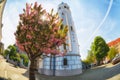 Cherry blossoms sakura near the Sacred Elizabeth`s church