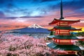 Cherry blossoms in spring, Chureito pagoda and Fuji mountain at sunset in Japan. Royalty Free Stock Photo