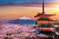 Cherry blossoms in spring, Chureito pagoda and Fuji mountain at sunset in Japan. Royalty Free Stock Photo