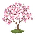 Cherry blossoms. Spring illustration of a flowering sakura