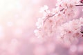 Cherry blossoms in spring time with soft focus and bokeh, Cherry blossom sakura in springtime, soft background, AI Generated Royalty Free Stock Photo
