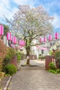 Cherry blossoms tree adorned with paper lanterns for hanami spring festival.