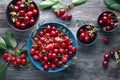 Cherry Bowl Full of Fresh Cherries