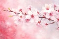 Cherry Branch in Bloom Japanese Pink Sakura Watercolor Painting