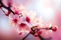 Cherry branch blossom background. Generative ai Royalty Free Stock Photo