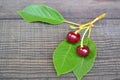 Cherry on branch with green leaf. Healthy food fresh fruit. Two ripe berries of a cherry on a branch lie on a dark black wooden Royalty Free Stock Photo