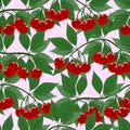 Cherry branch with leaves and ripe bright berries, vector illustration. Seamless Pattern Royalty Free Stock Photo