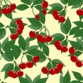 Cherry branch with leaves and ripe bright berries, vector illustration. Seamless Pattern Royalty Free Stock Photo