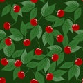 Cherry branch with leaves and ripe bright berries, vector illustration. Seamless pattern on a green background Royalty Free Stock Photo