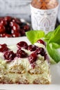 Cherry cake with lady finger biscuits Royalty Free Stock Photo