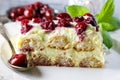 Cherry cake with lady finger biscuits Royalty Free Stock Photo