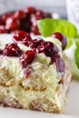 Cherry cake with lady finger biscuits Royalty Free Stock Photo