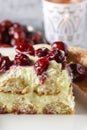 Cherry cake with lady finger biscuits Royalty Free Stock Photo