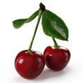 Cherry Cherries Two berries with leaves isolated on white background