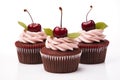 Cherry chocolate cupcakes on a white background