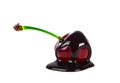 Cherry in chocolate on a white background Royalty Free Stock Photo