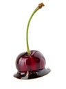 Cherry in a chocolate Royalty Free Stock Photo