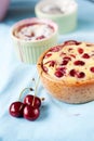 Cherry clafoutis Royalty Free Stock Photo