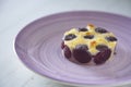 Cherry clafoutis is a baked French fruit dessert Royalty Free Stock Photo