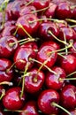 Cherry closeup