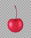 Cherry Closeup Transparent Vector Illustration