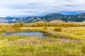 Cherry Creek Preserve