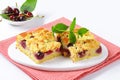 Cherry Crumbcake Squares Royalty Free Stock Photo