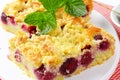 Cherry Crumbcake Squares Royalty Free Stock Photo