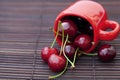 Cherry and cup Royalty Free Stock Photo