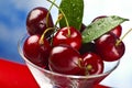 Cherry cup Royalty Free Stock Photo