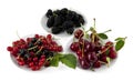 Cherry, currant and mulberry Royalty Free Stock Photo