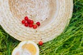 Cherry and cuted citrus fruits with straw hat lying on the grass outdoors. Picnic on nature in the park close up healthy food,