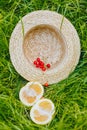 Cherry and cuted citrus fruits with straw hat lying on the grass outdoors. Picnic on nature in the park close up healthy food,