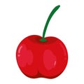 cherry delicious fruit icon design