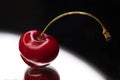 Cherry Delight: Juicy Gems Glistening in a Sunlit Display Royalty Free Stock Photo