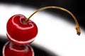 Cherry Delight: Juicy Gems Glistening in a Sunlit Display Royalty Free Stock Photo