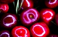 Cherry Delight: Juicy Gems Glistening in a Sunlit Display Royalty Free Stock Photo