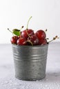 Cherry in drops of water in an iron bucket on a light background Royalty Free Stock Photo