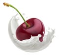 Cherry falling in milk splash isolated on white background