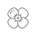 Cherry flower, apple blossom line icon.